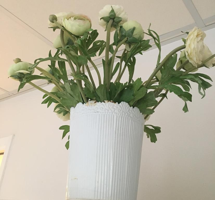 Kolmardens Vandrarhem Bagian luar foto