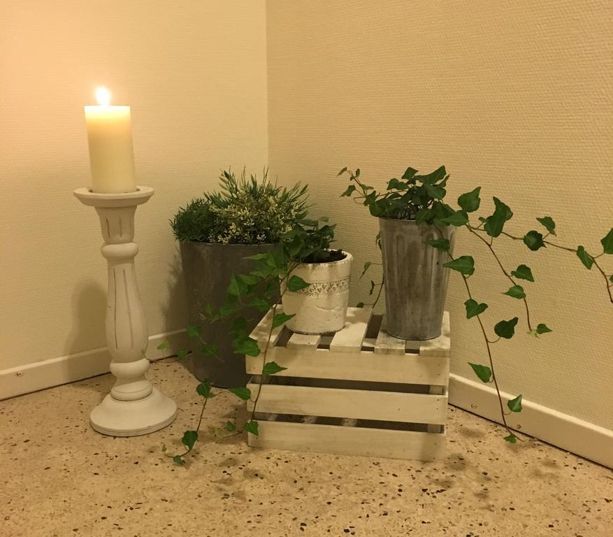 Kolmardens Vandrarhem Bagian luar foto